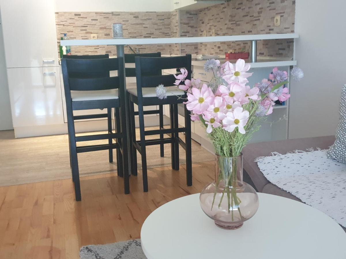 Apartman Srna トレビニエ エクステリア 写真